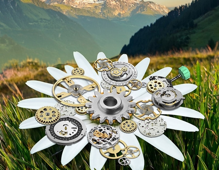 Annual Report and Sustainability Report